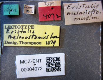Media type: image;   Entomology 4072 Aspect: labels